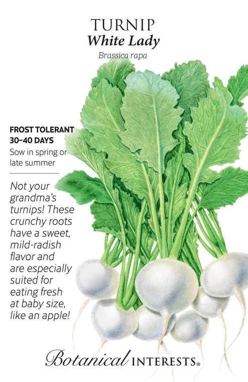 White Lady Turnip Seeds