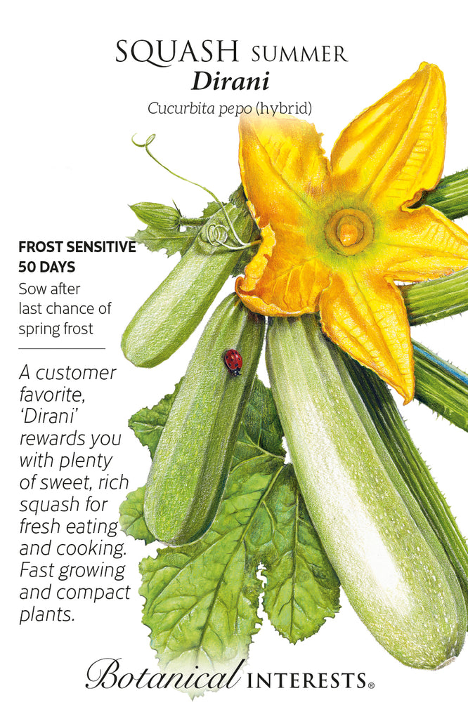 Dirani Summer Squash Seeds