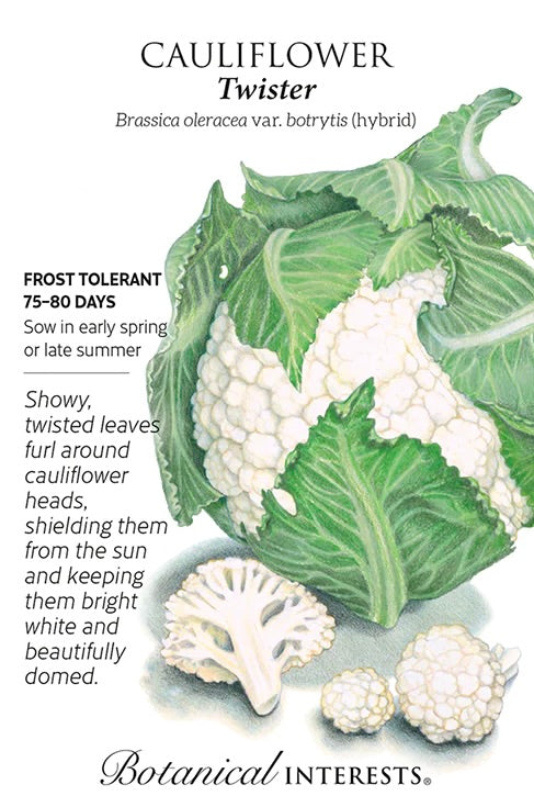 Twister Cauliflower Seeds
