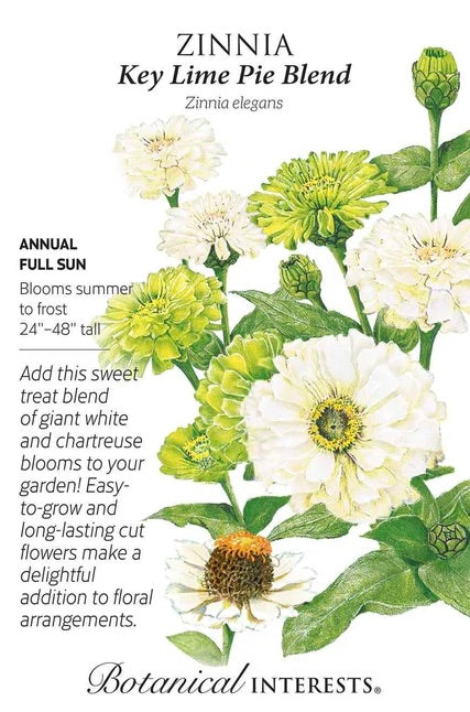 Key Lime Pie Blend Zinnia Seeds