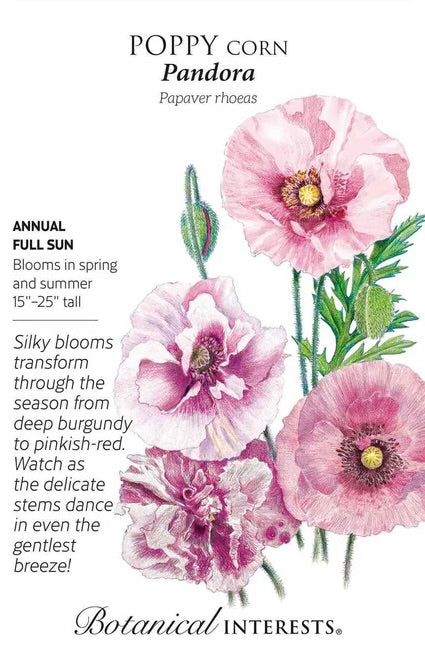 Pandora Corn Poppy Seeds