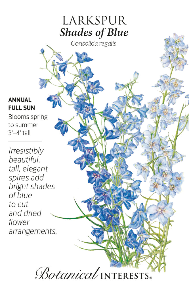 Shades of Blue Larkspur Seeds