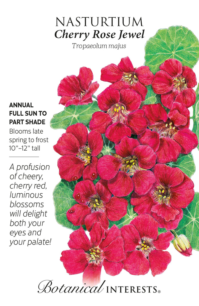 Cherry Rose Jewel Nasturtium Seeds