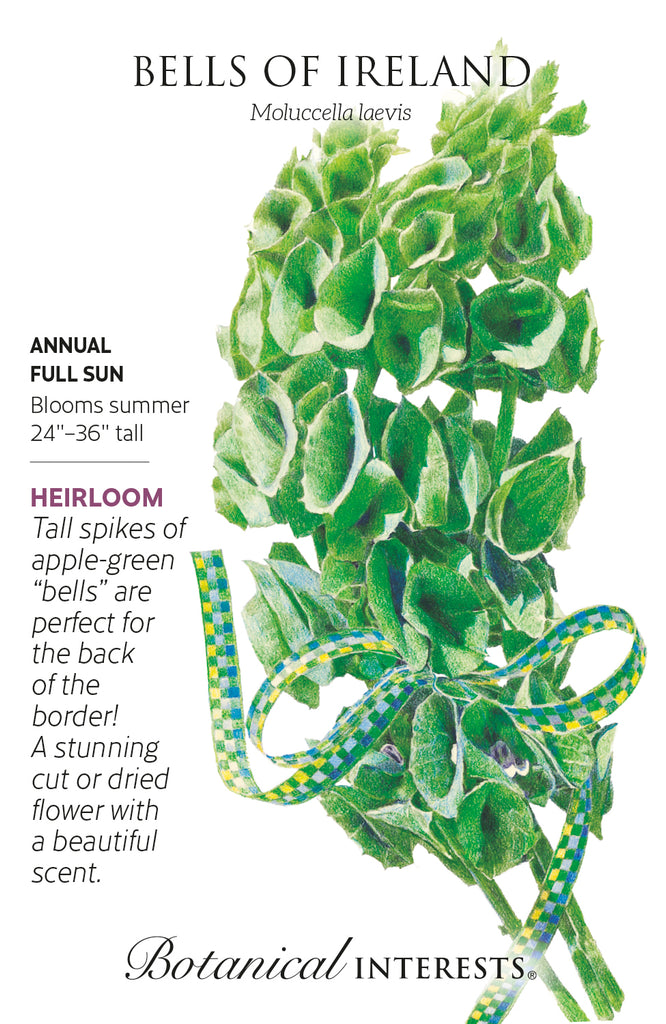 Bells Of Ireland Seeds