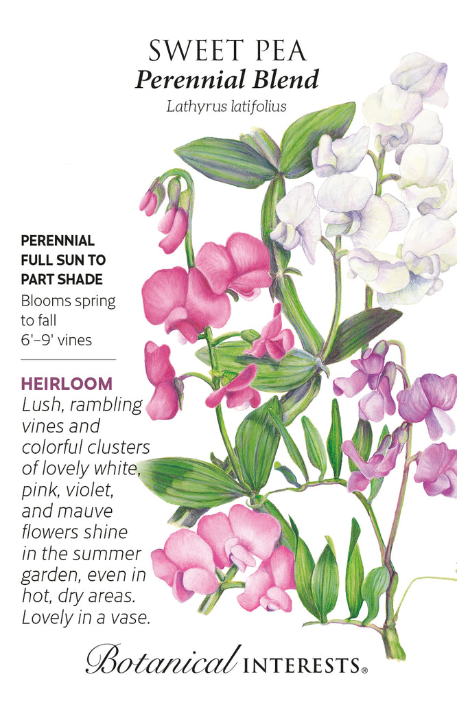 Perennial Blend Sweet Pea Seeds