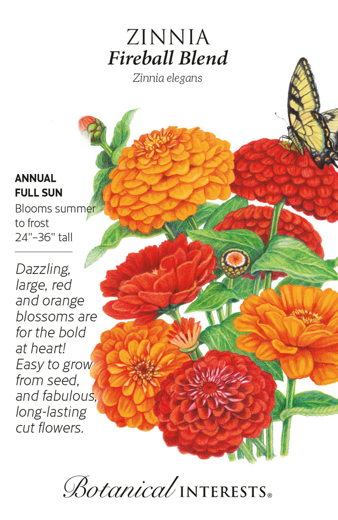 Fireball Blend Zinnia Seeds