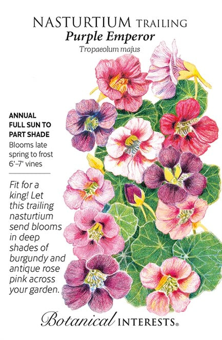 Purple Emperor Trailing Nasturtium Seed