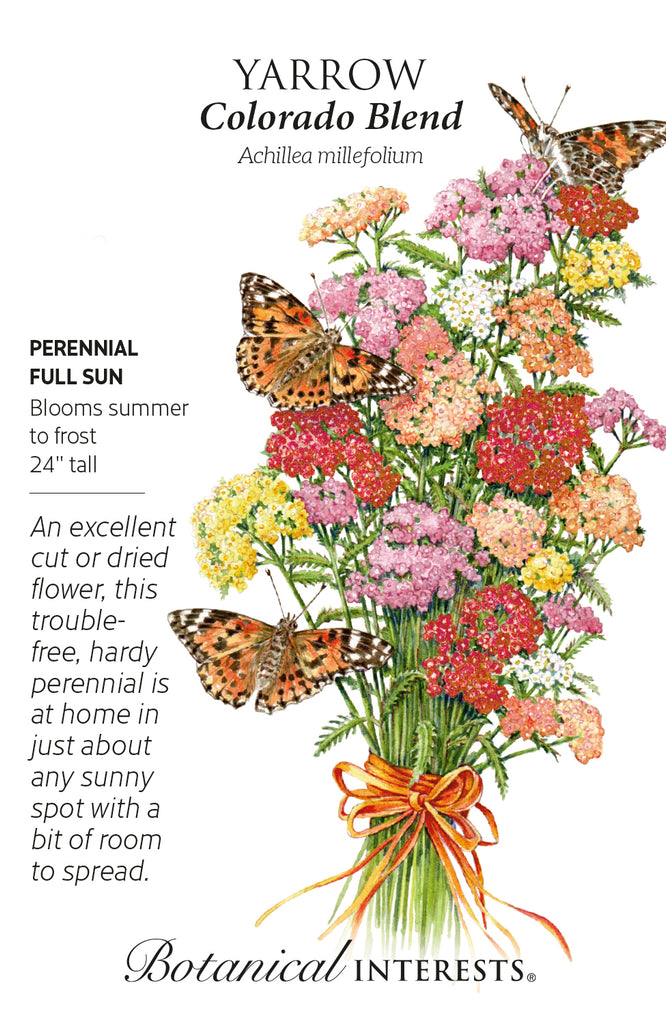 Colorado Blend Yarrow Seeds