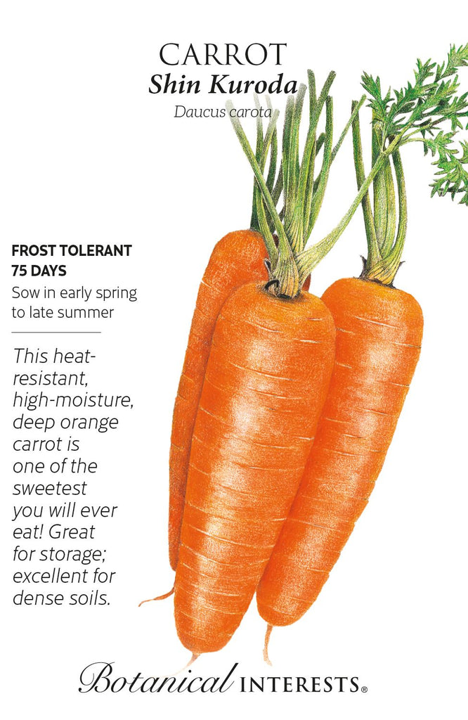 Shin Kuroda Carrot Seed