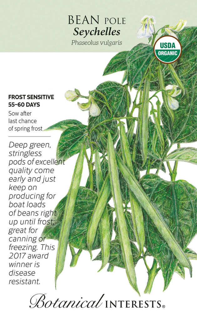 Seychelles Pole Beans