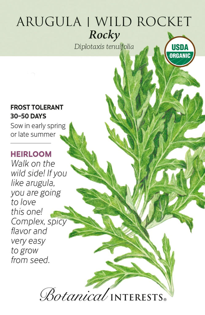 Wild Rocket Rocky Arugula Seeds