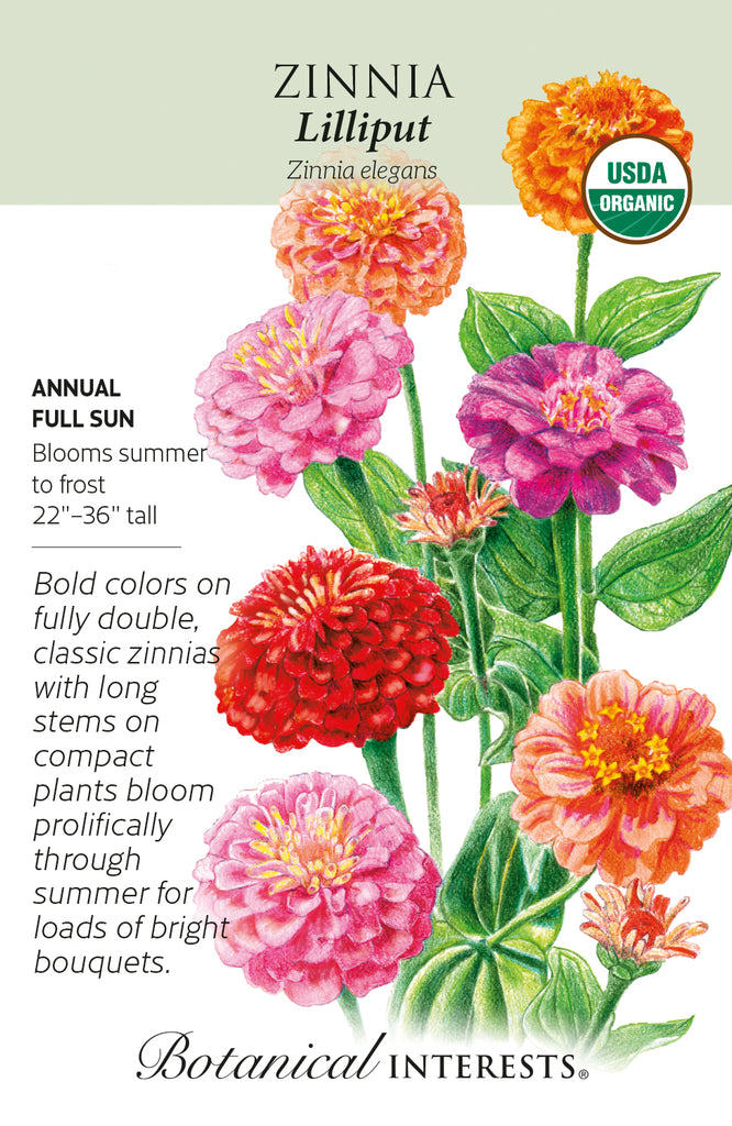 Lilliput Zinnia Seeds