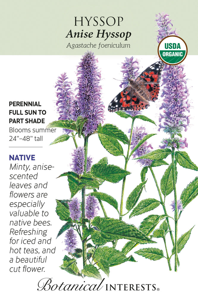 Anise Hyssop Seeds