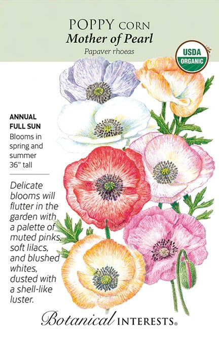 Mother of Pearl Corn Poppy