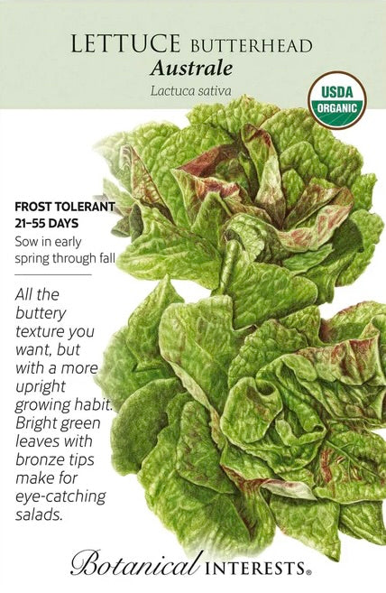 Australe Butterhead Lettuce Seed