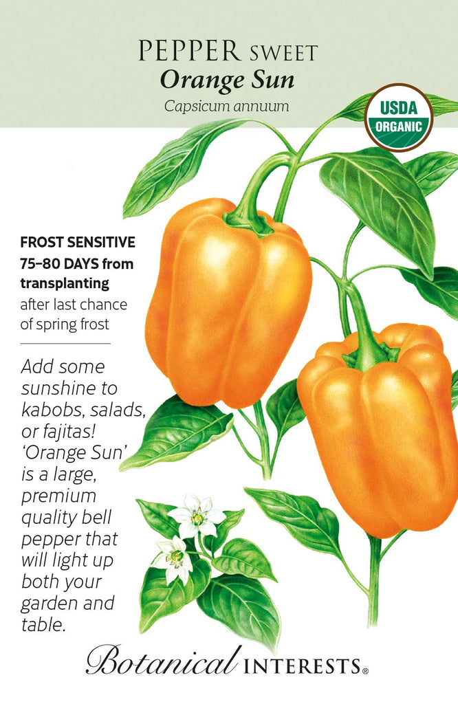 Orange Sun Sweet Pepper Seed