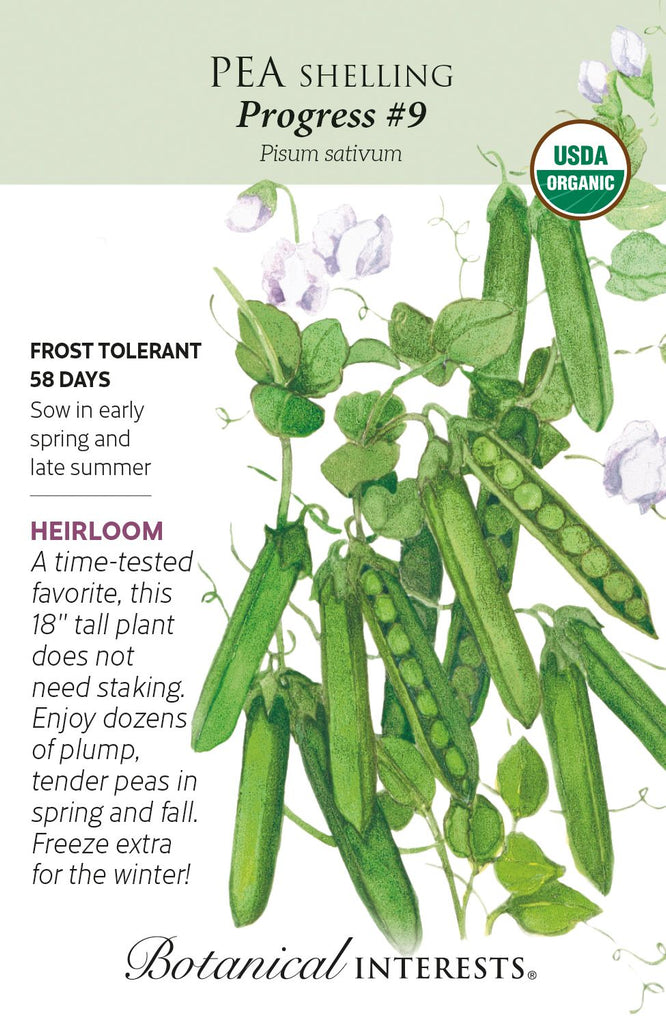 Progress #9 Shelling Pea