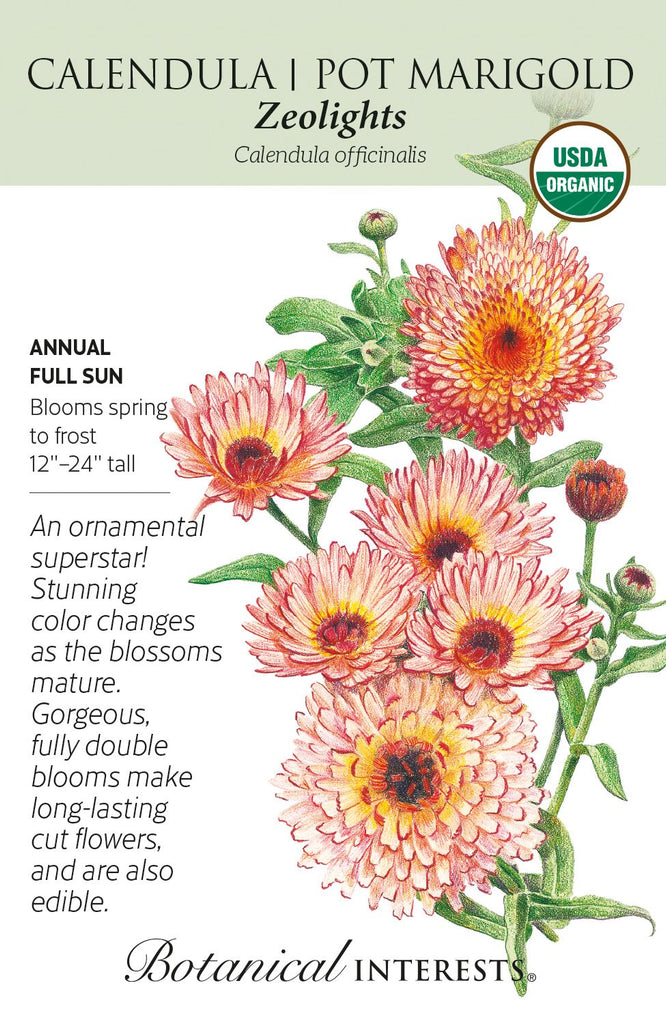 Zeolights Calendula | Pot Marigold Seeds