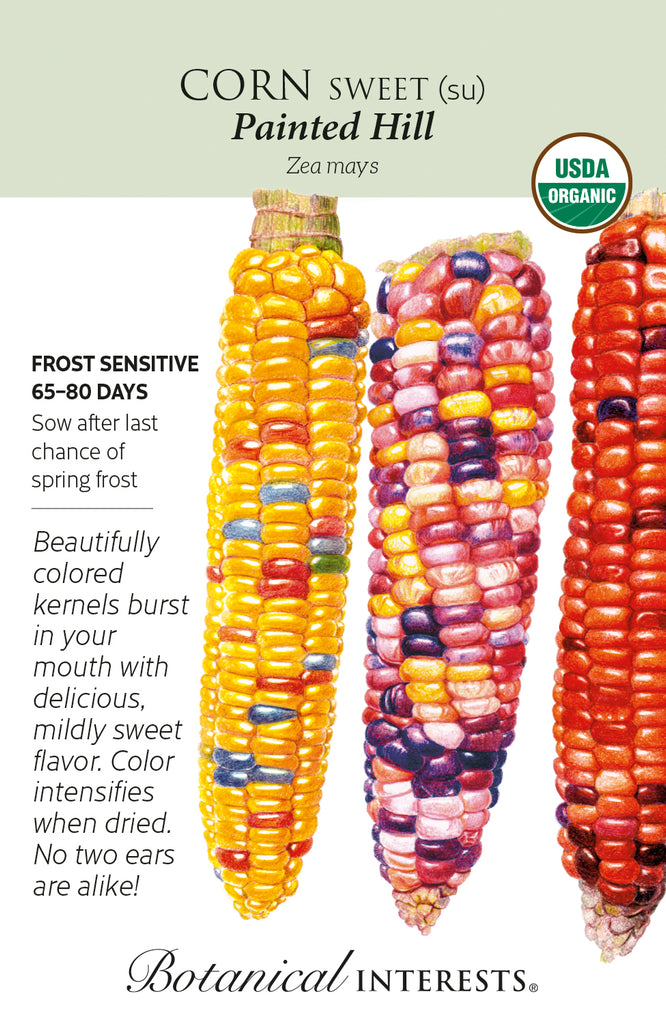 Painted Hill Sweet Corn Seeds