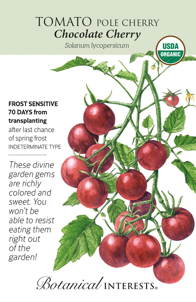 Chocolate Cherry Pole Cherry Tomato Seeds