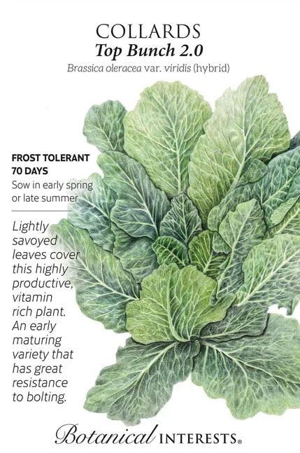 Top Bunch 2.0 Collards