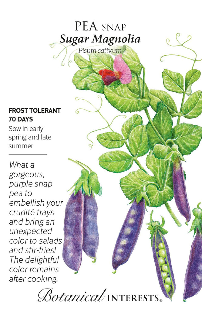 Sugar Magnolia Snap Pea Seed