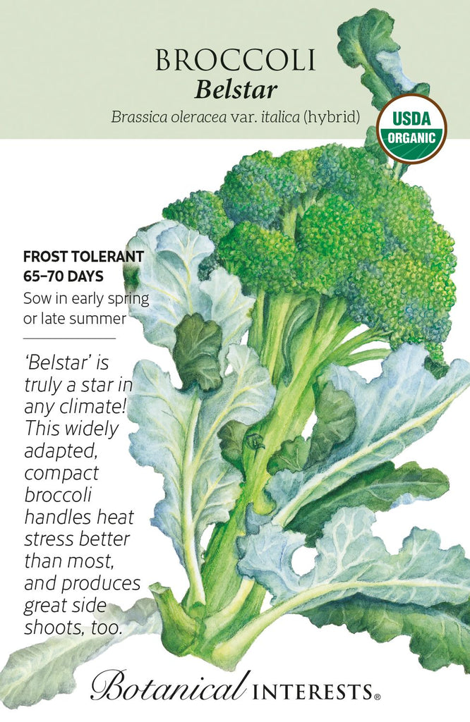Belstar Broccoli Seeds