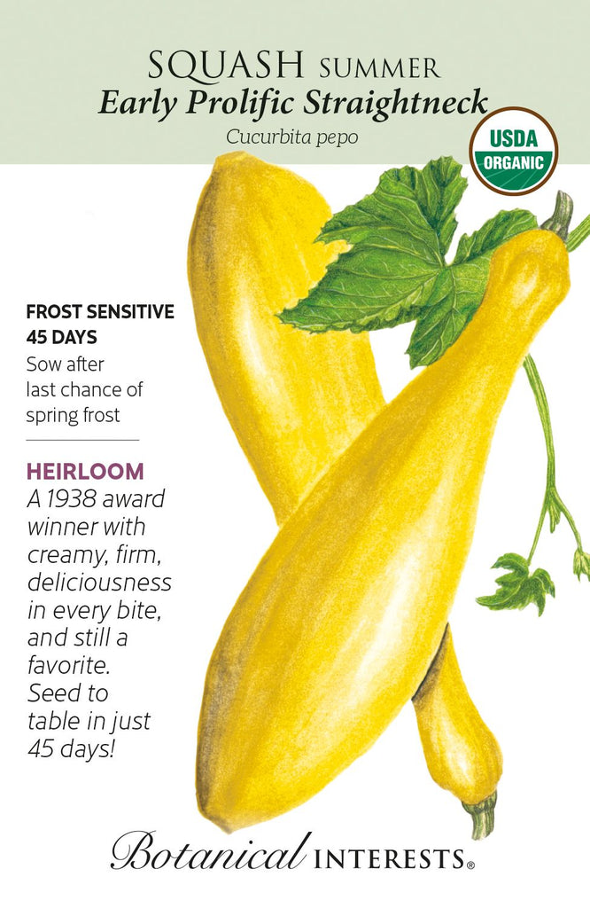 Early Prolific Straightneck Summer Squash Seeds