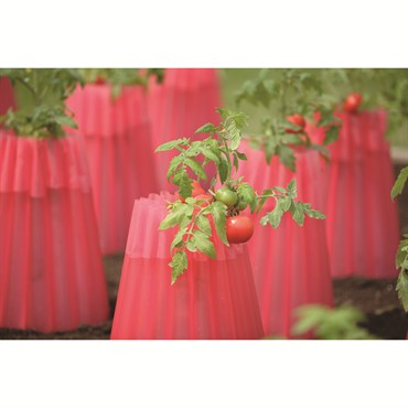 Kozy Coat Plant Protector