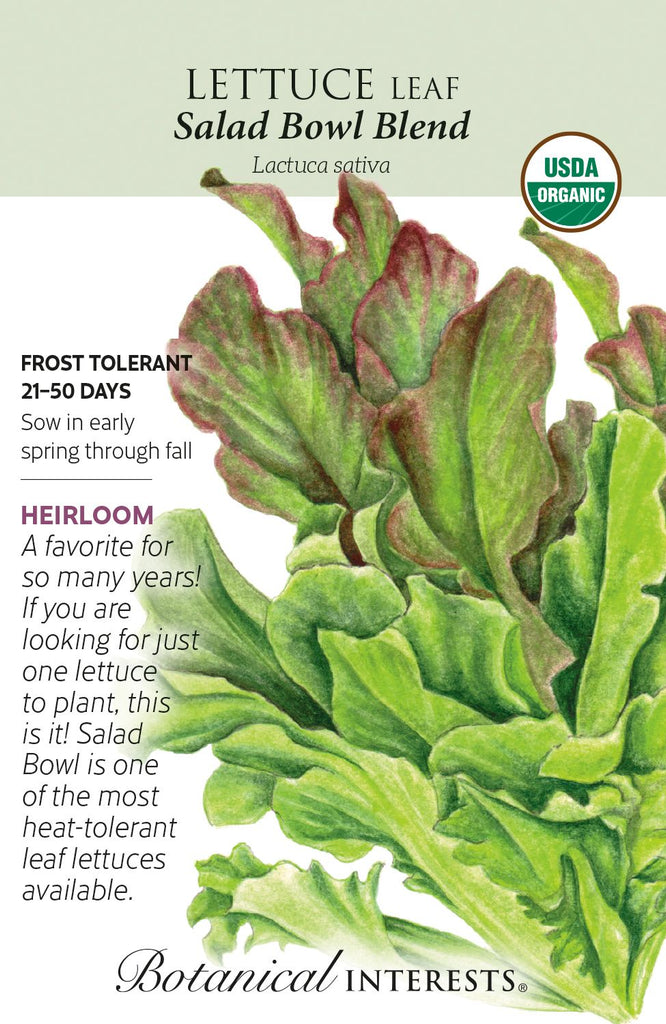 Salad Bowl Leaf Lettuce Seed