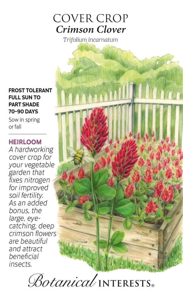 Crimson Clover Cover Crop Seed