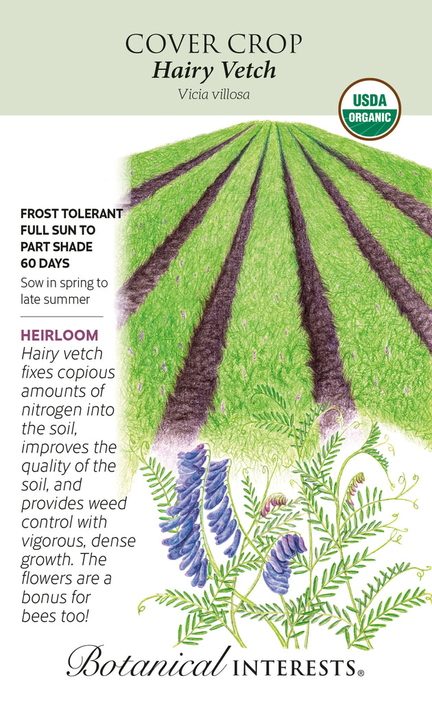 Hairy Vetch Cover Crop Seeds