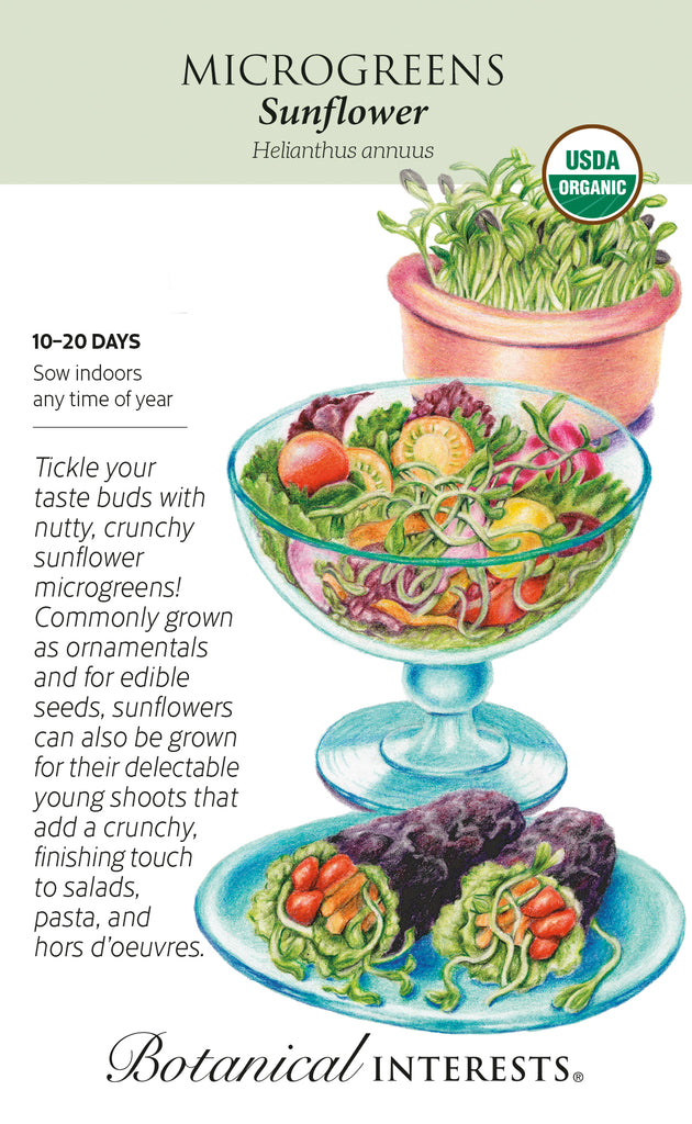 Sunflower Microgreens