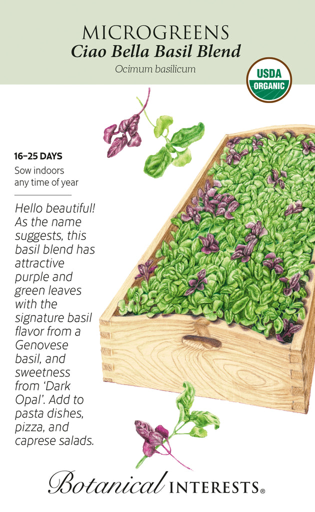 Ciao Bella Basil Blend Microgreens