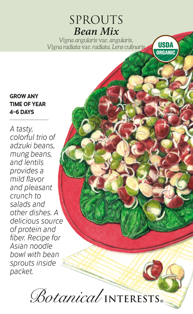 Bean Mix Sprouts Seeds