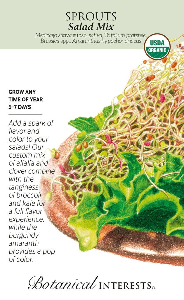 Salad Mix Sprouts