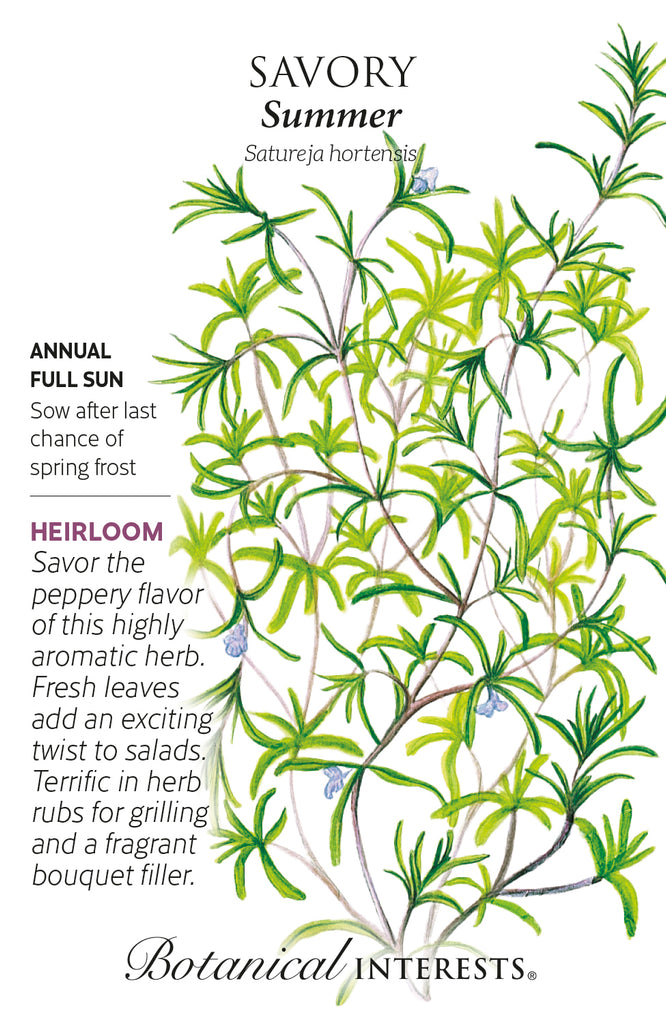 Summer Savory Herb Seed