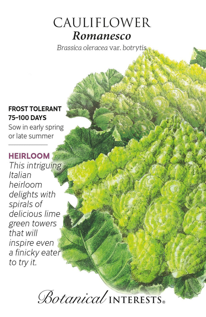 Romanesco Cauliflower