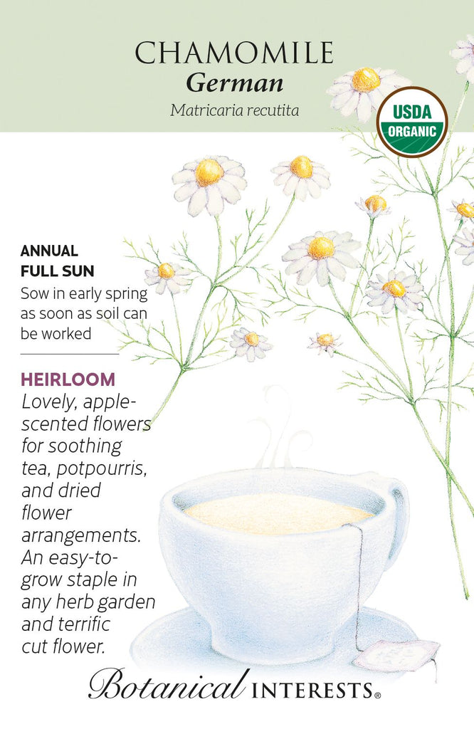 German Chamomile Herb Seed