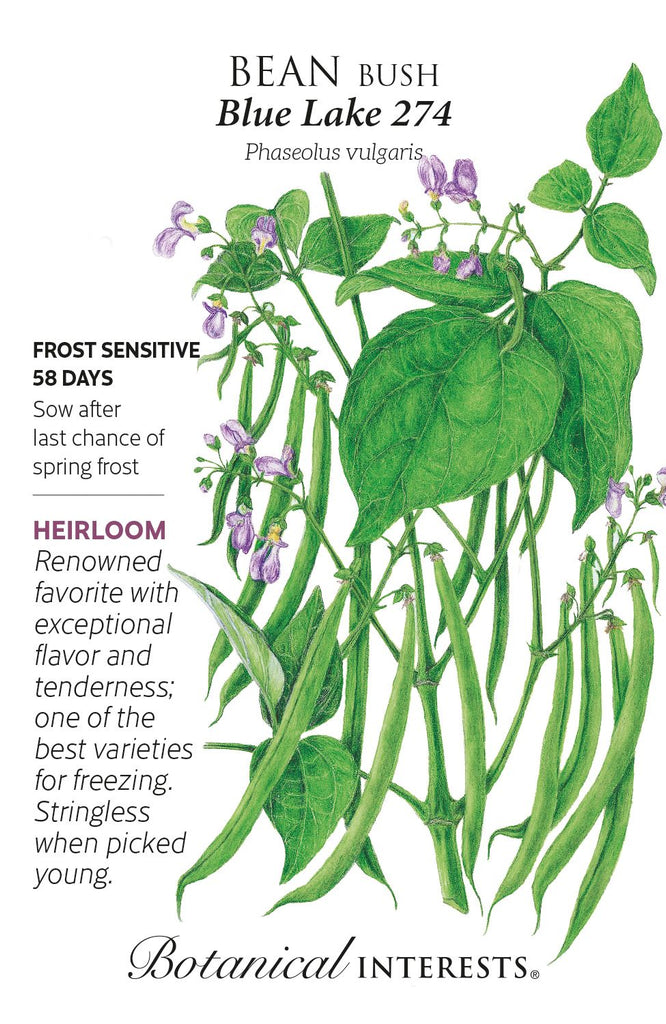 Blue Lake 274 Bush Bean Seed