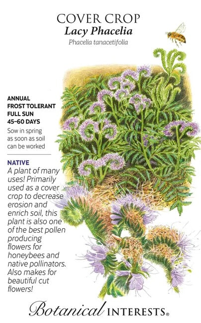 Lacy Phacelia Cover Crop