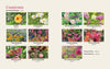 Bricks ‘n Blooms Guide/Beautiful & Easy Care Flower Garden