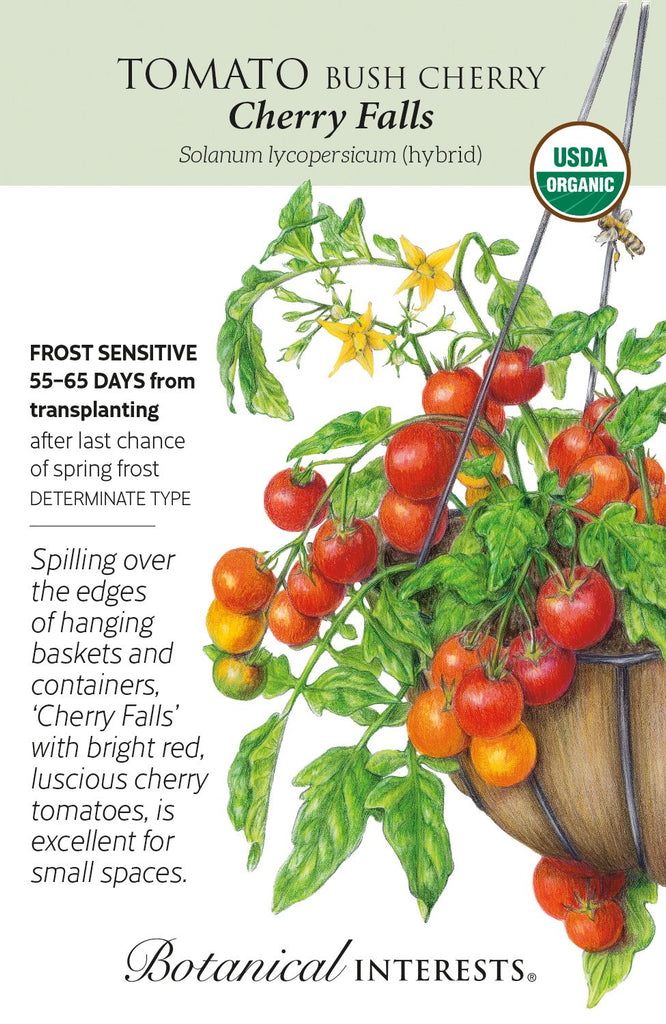 Cherry Falls Bush Cherry Tomato Seeds