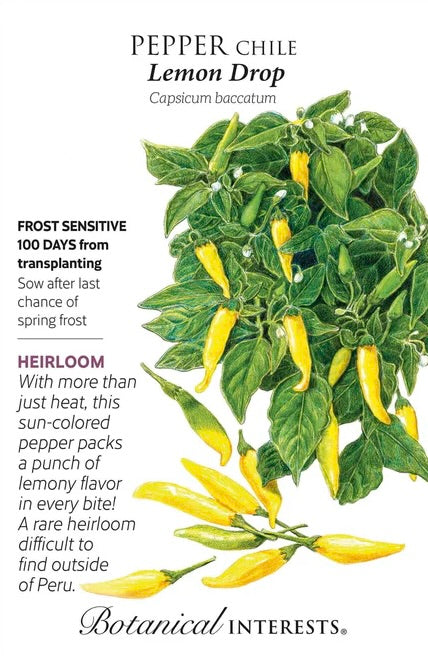 Lemon Drop Chile Pepper