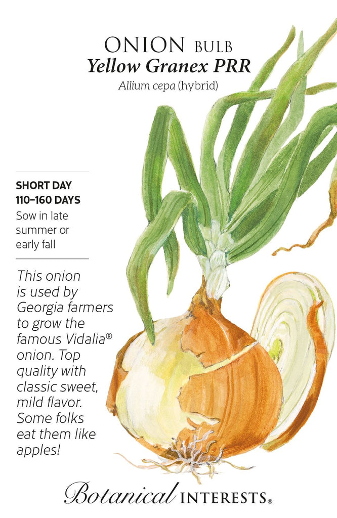 Yellow Granex Onion Seeds