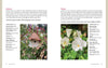 Bricks ‘n Blooms Guide/Beautiful & Easy Care Flower Garden