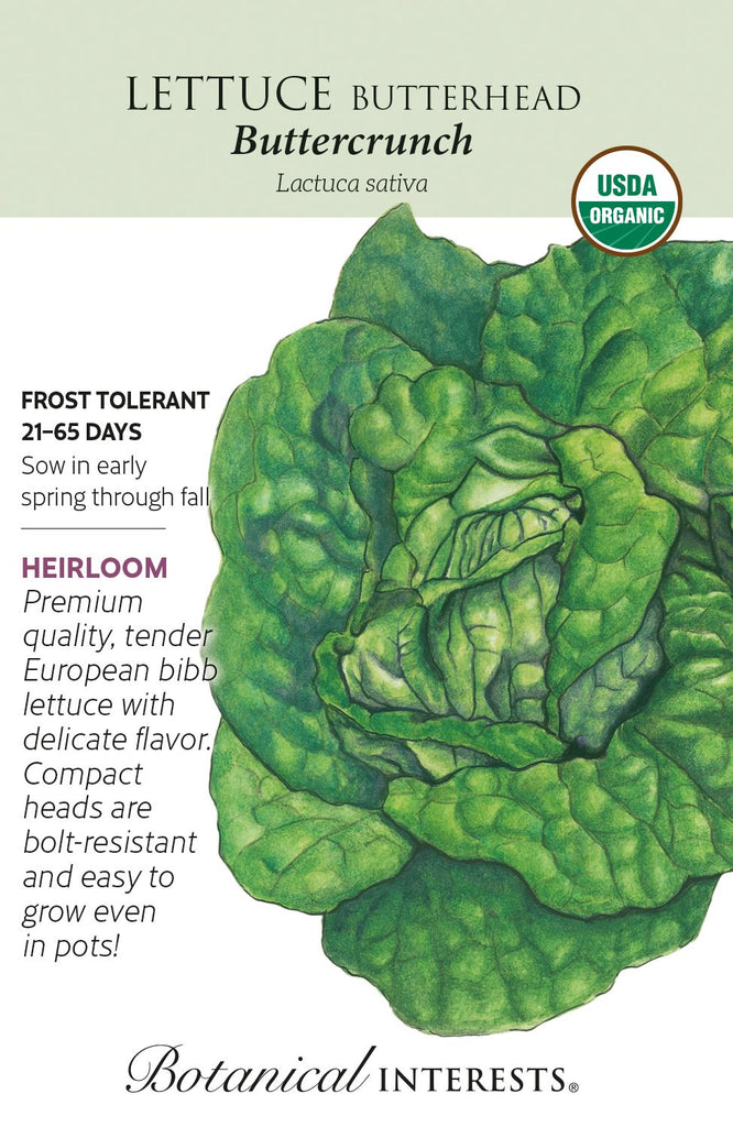Buttercrunch Butterhead Lettuce Seed