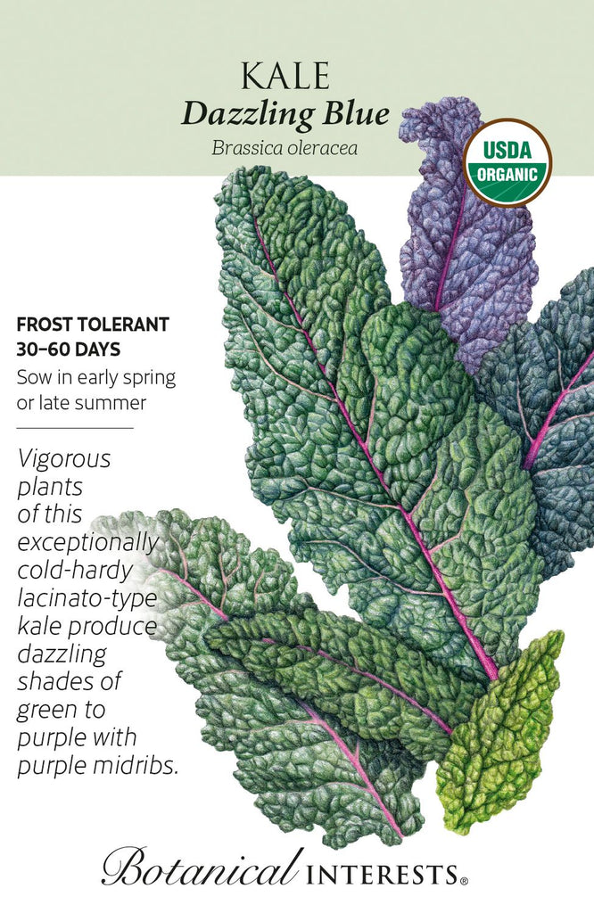 Dazzling Blue Kale Seed