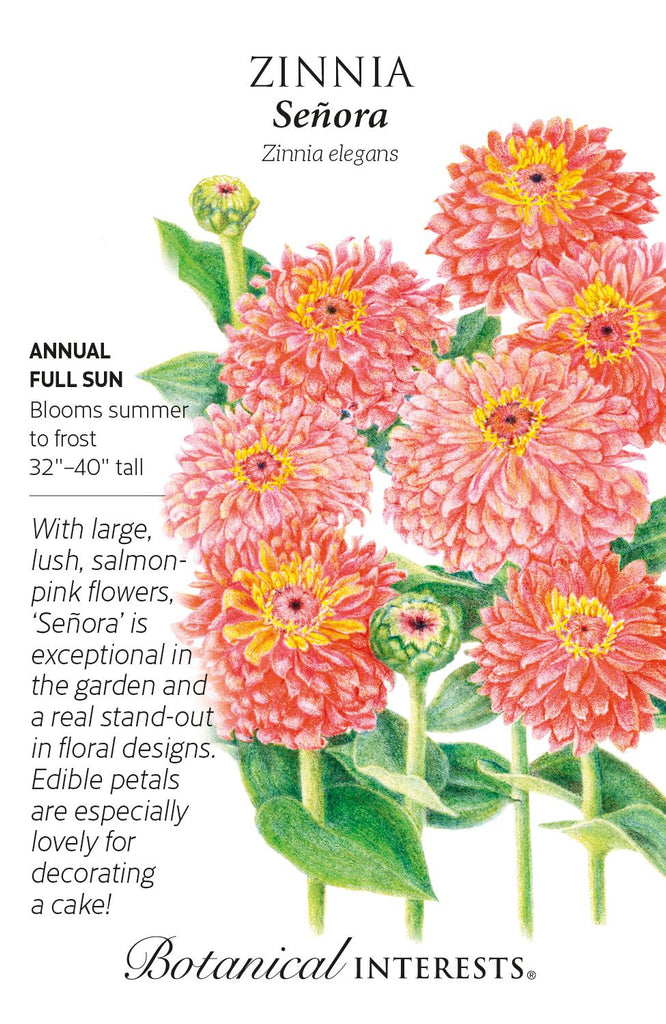 Señora Zinnia Seeds