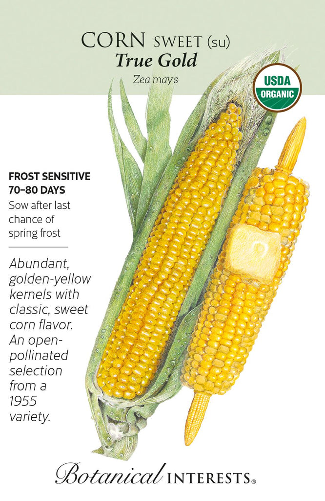 True Gold Sweet Corn Seed